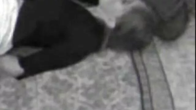 Cheerleading lesbiennes jumelles extrait de video x amateur -